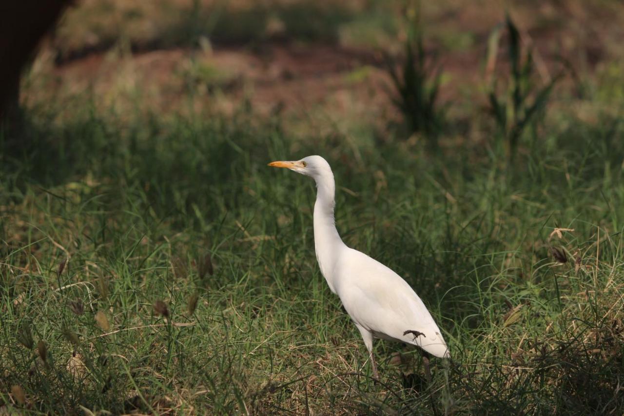 Visamo Farmstay Nānodra Dış mekan fotoğraf