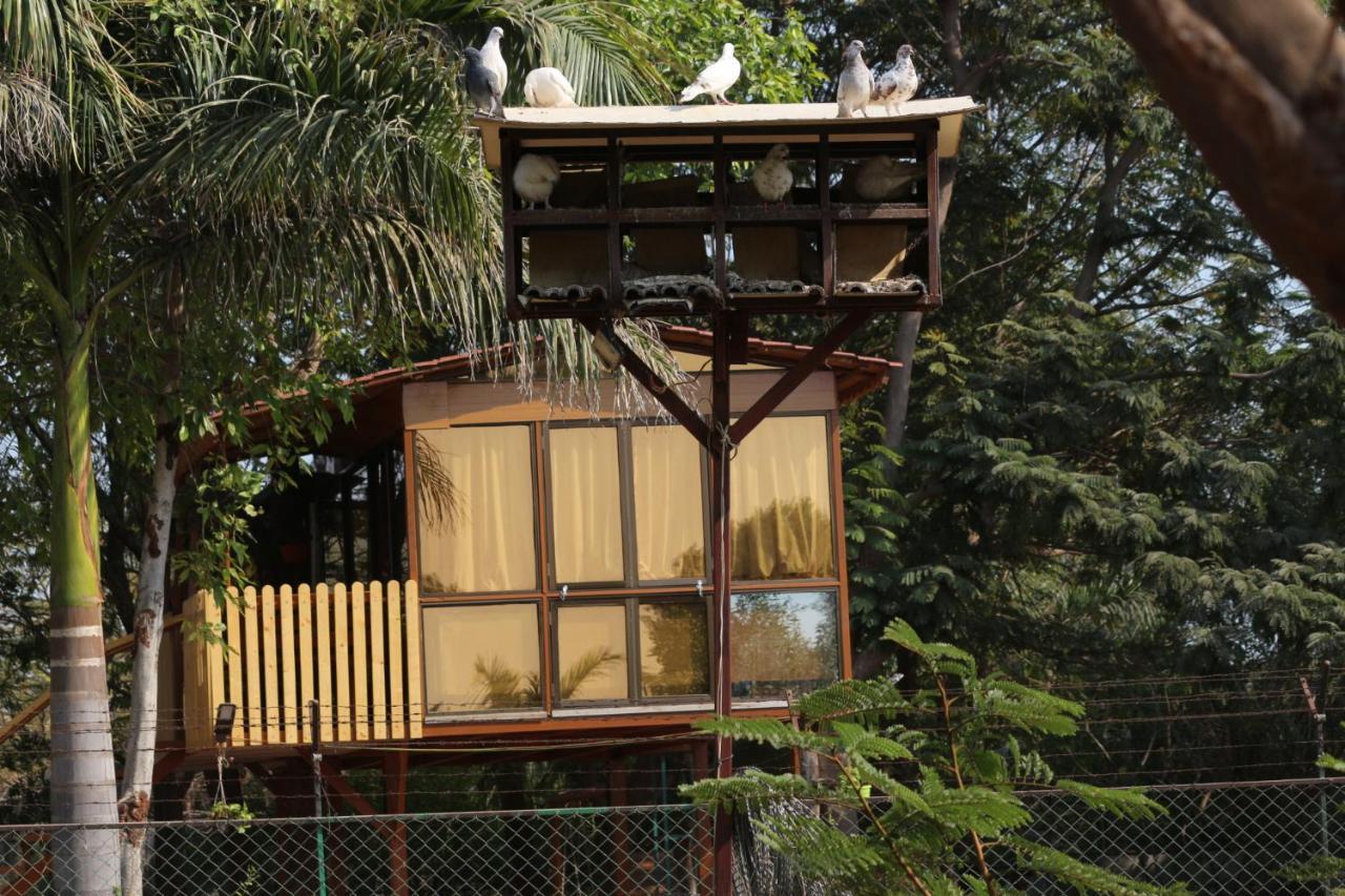 Visamo Farmstay Nānodra Dış mekan fotoğraf