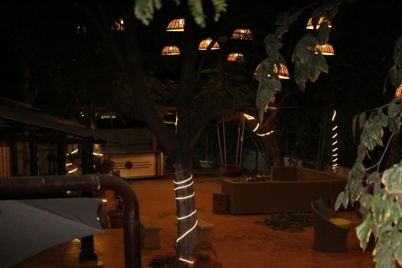 Visamo Farmstay Nānodra Dış mekan fotoğraf
