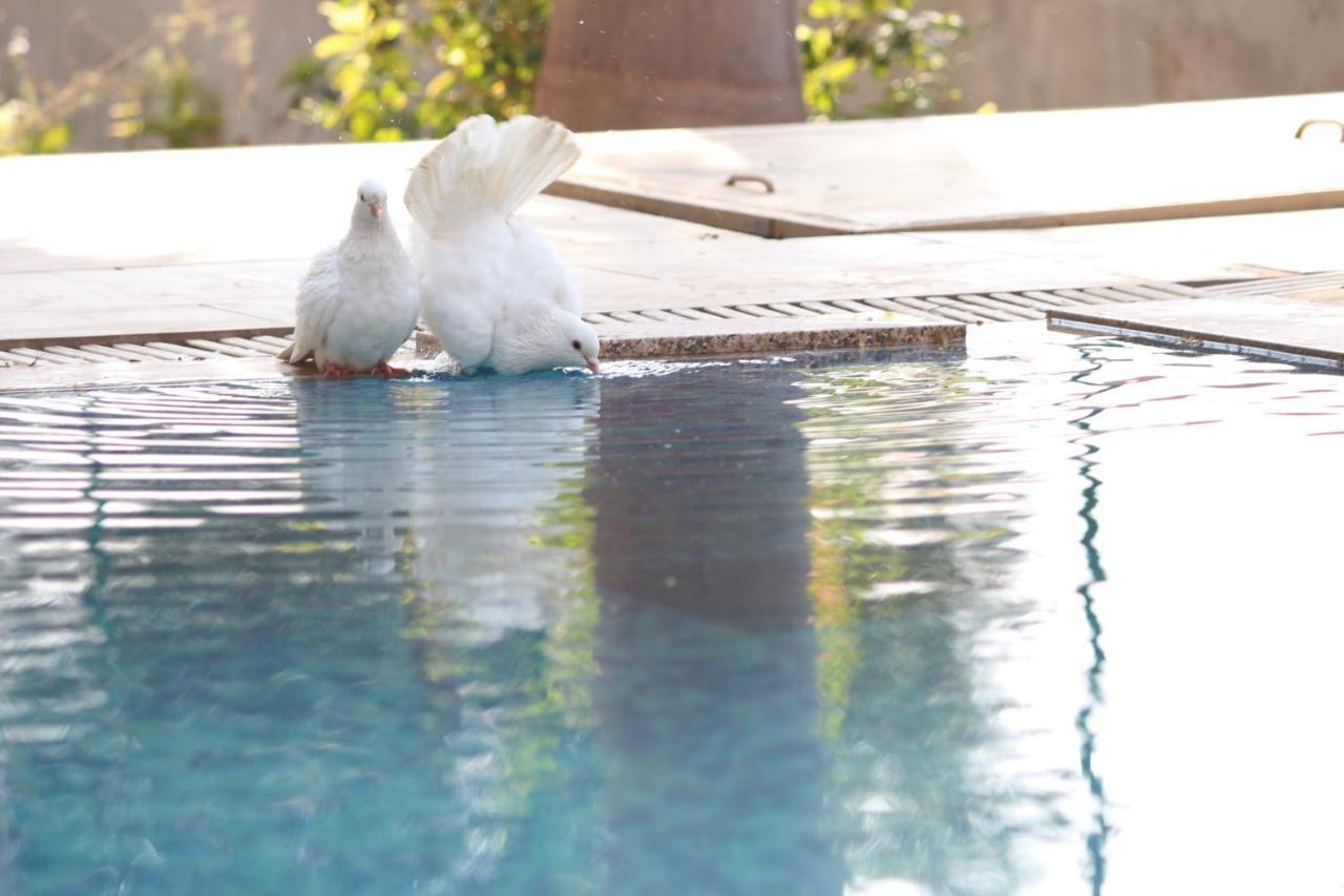 Visamo Farmstay Nānodra Dış mekan fotoğraf