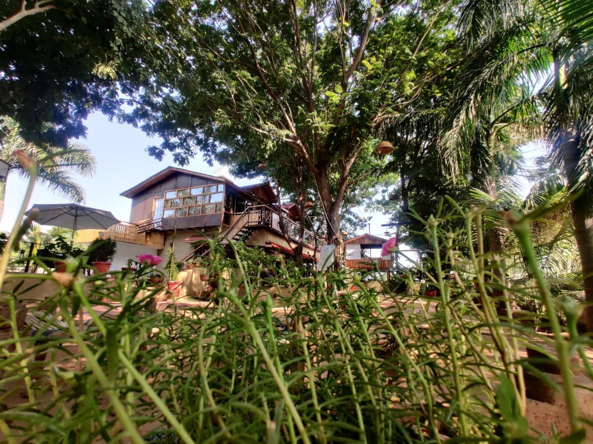 Visamo Farmstay Nānodra Dış mekan fotoğraf
