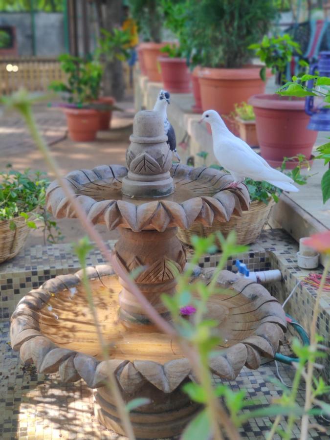 Visamo Farmstay Nānodra Dış mekan fotoğraf