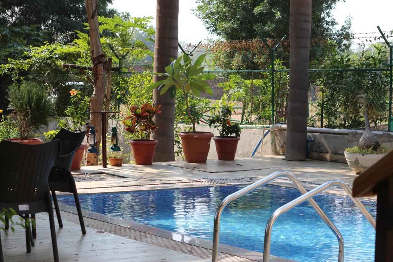 Visamo Farmstay Nānodra Dış mekan fotoğraf