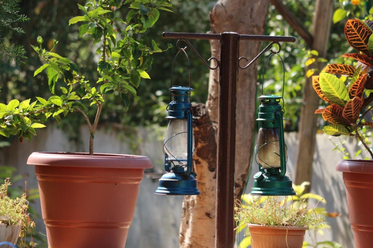 Visamo Farmstay Nānodra Dış mekan fotoğraf